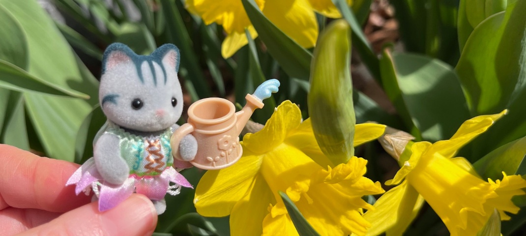 Critter with daffodils