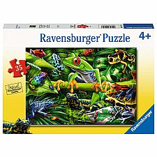 Amazing Amphibians - 35 Piece