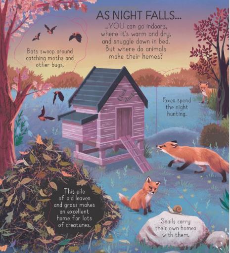 Look Inside Animal Homes - Alphabet Soup Look Inside Animal Homes - Alphabet Soup