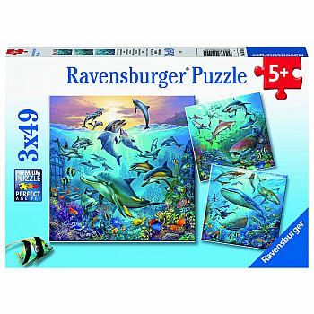 Ocean Life 3 X 49