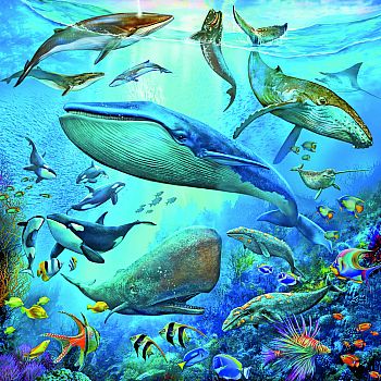 Ocean Life 3 X 49