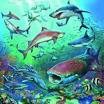Ocean Life 3 X 49