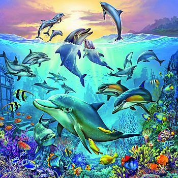 Ocean Life 3 X 49