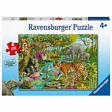 Animals of India - 60 Pieces