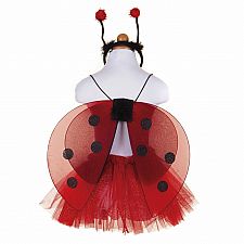 Lady Bug Set