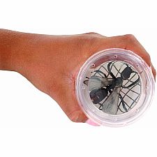 Magnifying Bug Viewer