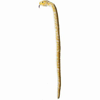 Albino Burmese Python