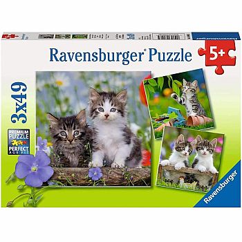 Cuddly Kittens - 3x49 Pieces
