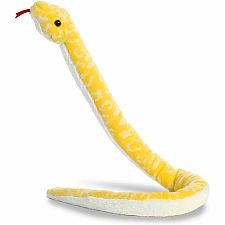 Albino Burmese Python