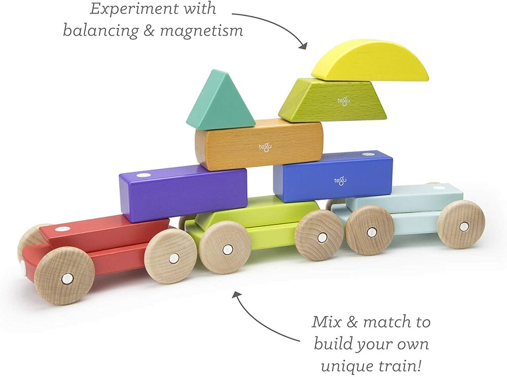 Tegu shape hot sale train