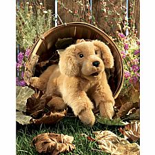 Golden Retriever Puppy Puppet