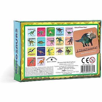 Dinosaurs Matching Game