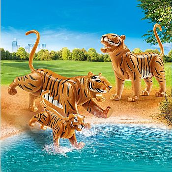 Tigers with Cub