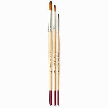 Artist's Brush Set