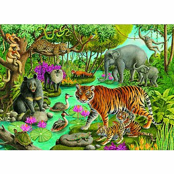 Animals of India - 60 Pieces