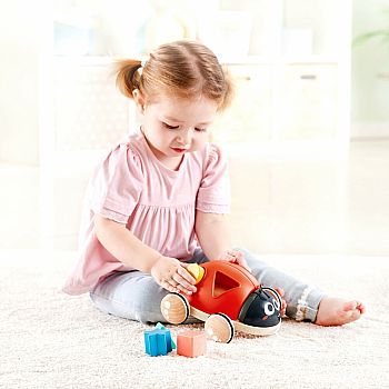 Shape-Sorter Ladybug