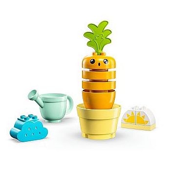 Growing Carrot
