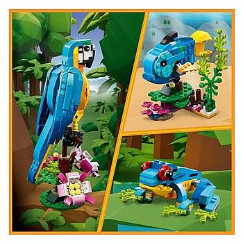 Exotic Parrot