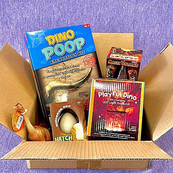 Dinosaur Surprise Box