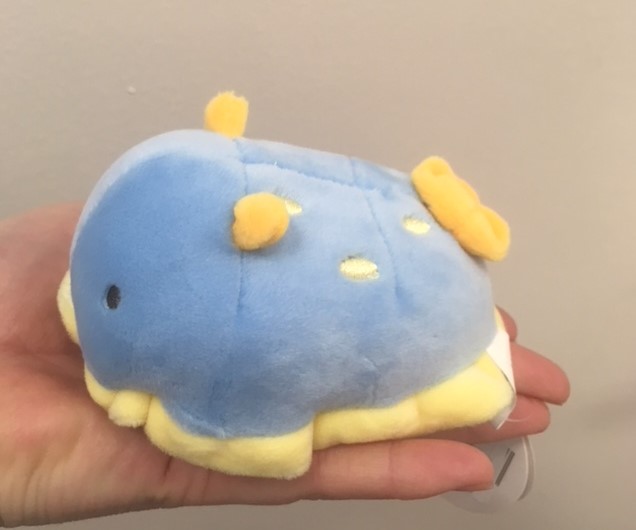 sea slug stuffed animal