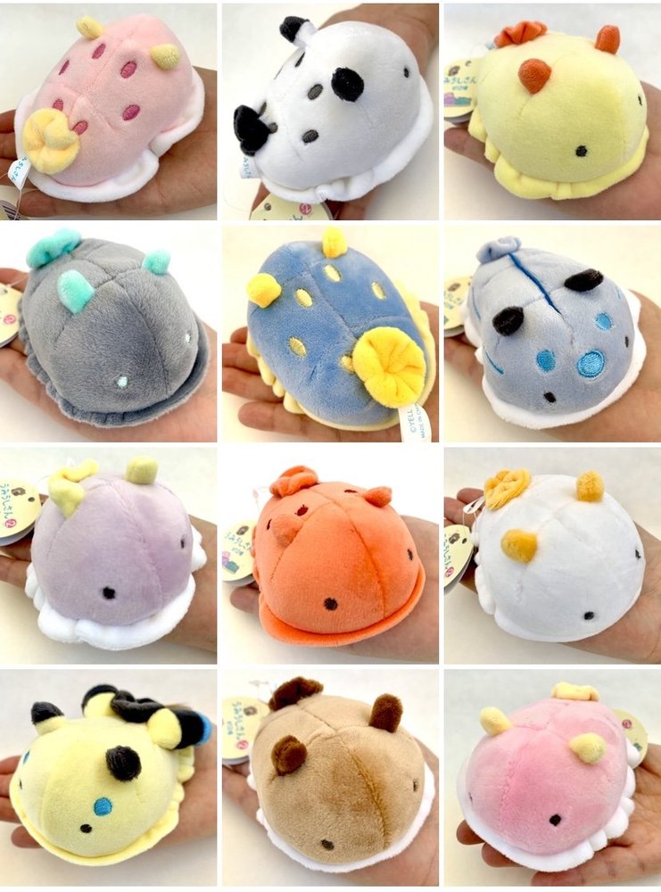 Sea slug stuffed animal hotsell