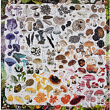 Mushroom Rainbow Puzzle - 1000 Pieces