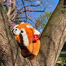 Spudsters Red Panda