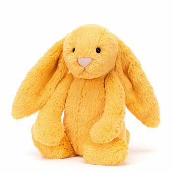 Bashful Sunshine Bunny