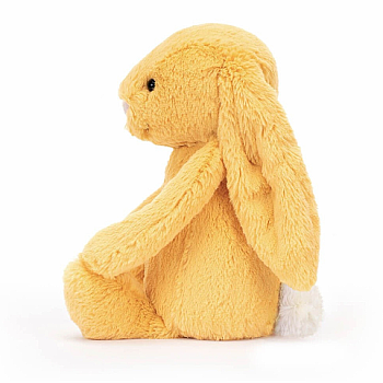 Bashful Sunshine Bunny