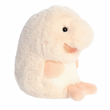 Bailey Blobfish