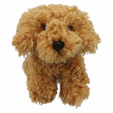 Eco Cockapoo Mini