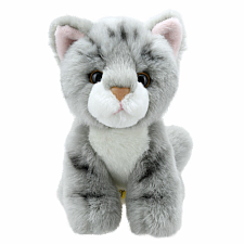 Eco Grey Cat Mini