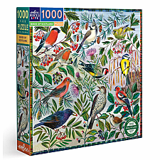 Birds of Scotland 1000