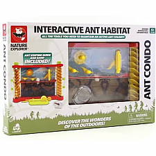 Ant Condo