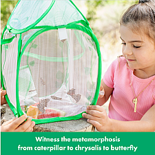 Butterfly Bungalow