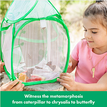 Butterfly Bungalow