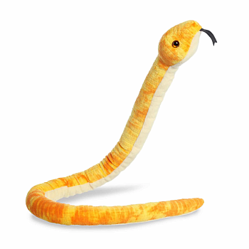 Mango Corn Snake
