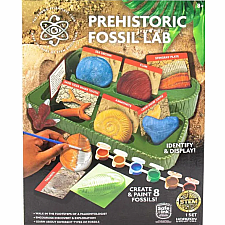 Fossil Lab