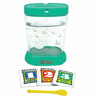  Sea Monkeys Ocean Zoo