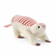 Pink Fairy Armadillo