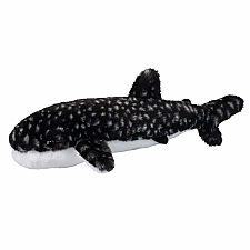 Barnacle Whale Shark