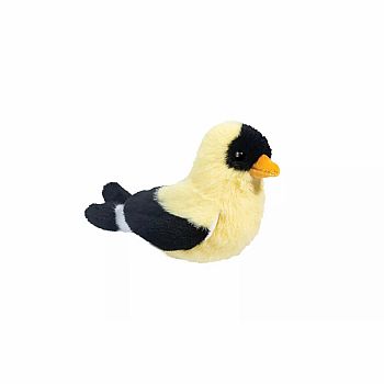 Faye Goldfinch