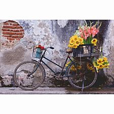 Bicycle 200