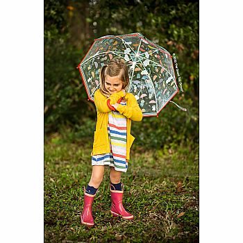 Under the Rain Umbrella