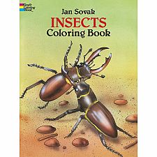 Insects Coloring Book